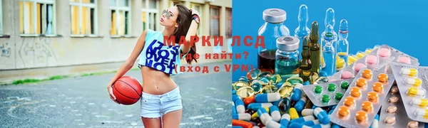 индика Вяземский