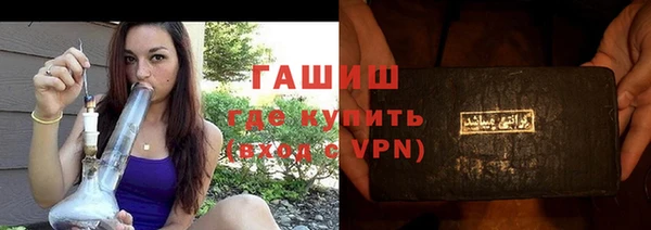 индика Вяземский