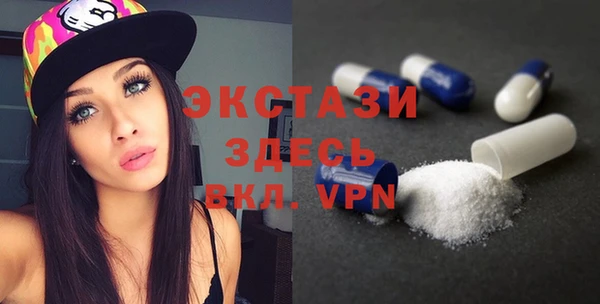 индика Вяземский