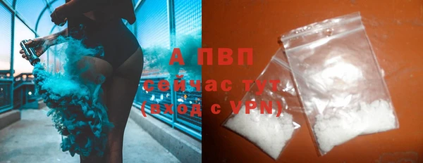 индика Вяземский