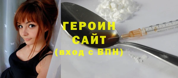 индика Вяземский