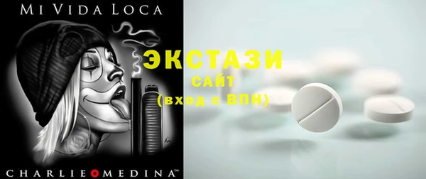 индика Вяземский