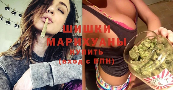 индика Вяземский