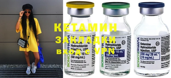 индика Вяземский