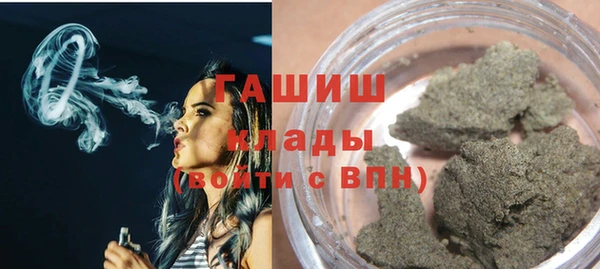 индика Вяземский
