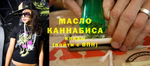 индика Вяземский