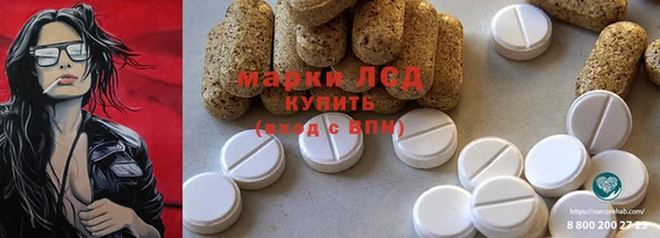 индика Вяземский