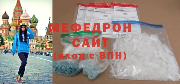 индика Вяземский