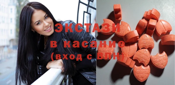 индика Вяземский