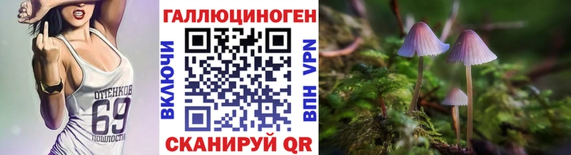 Галлюциногенные грибы GOLDEN TEACHER  купить наркотик  Ермолино 